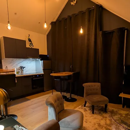 Le Loft - Chez Gally A Angers Daire