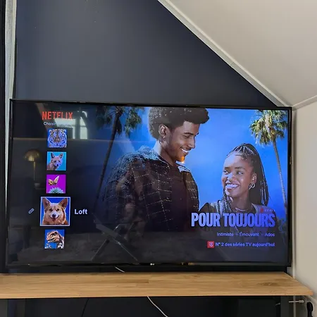 Le Loft - Chez Gally A Angers * Les Ponts-de-Cé