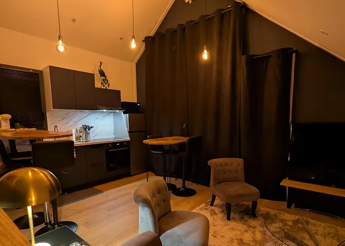 Le Loft - Chez Gally A Angers Apartment